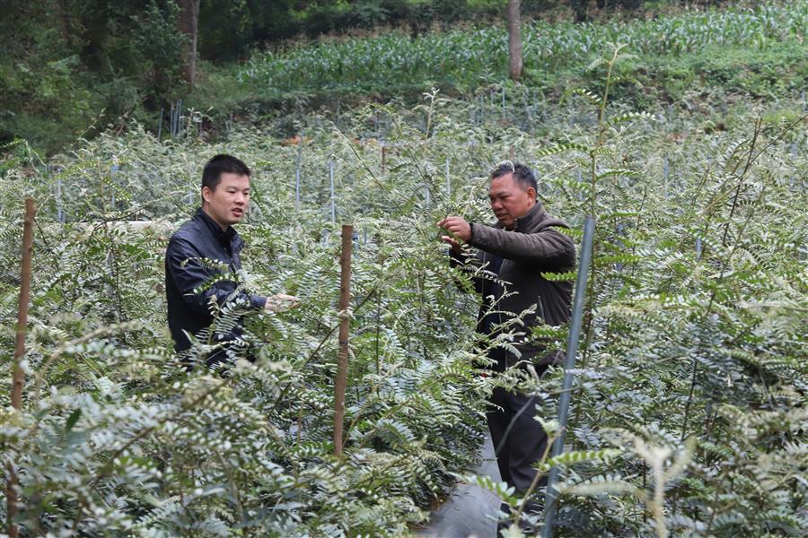 尊龙凯时人生就是搏 -官网首页