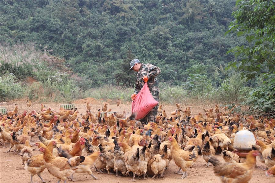 尊龙凯时人生就是搏 -官网首页