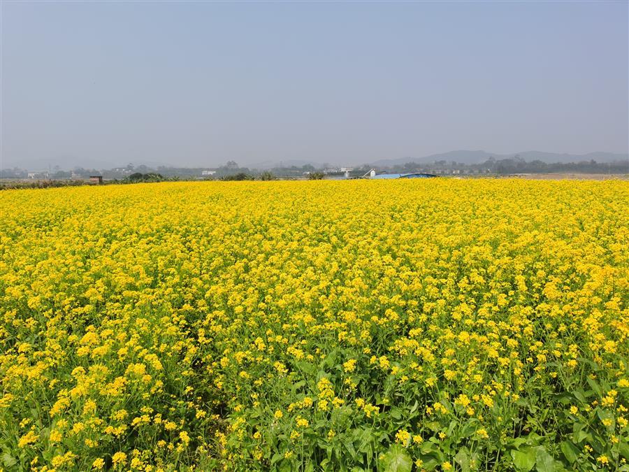 尊龙凯时人生就是搏 -官网首页