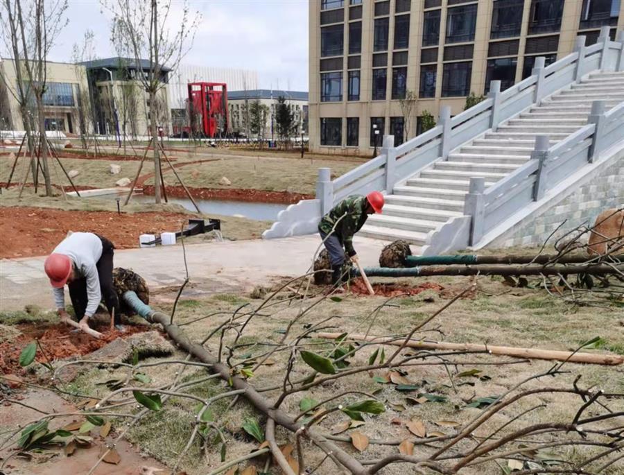 尊龙凯时人生就是搏 -官网首页